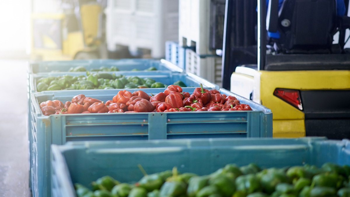Crates of produce